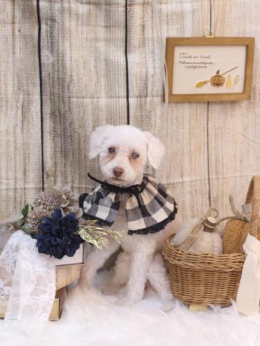 20241009ネネちゃん